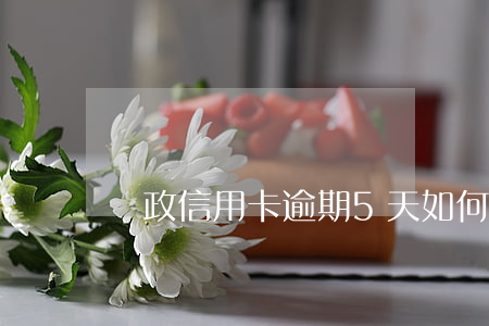 郵政信用卡逾期5天：如何處理？